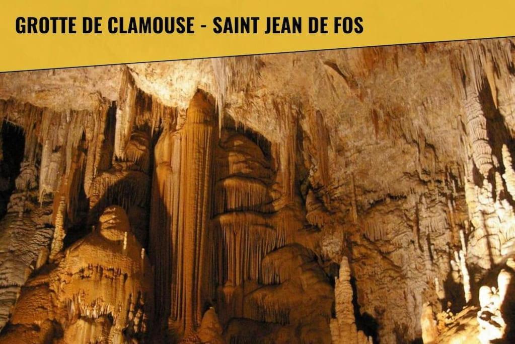Le Moliere - Enigme Et Sauna Apartment Pezenas Ngoại thất bức ảnh