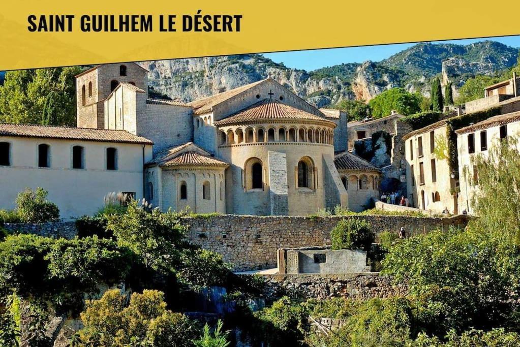 Le Moliere - Enigme Et Sauna Apartment Pezenas Ngoại thất bức ảnh