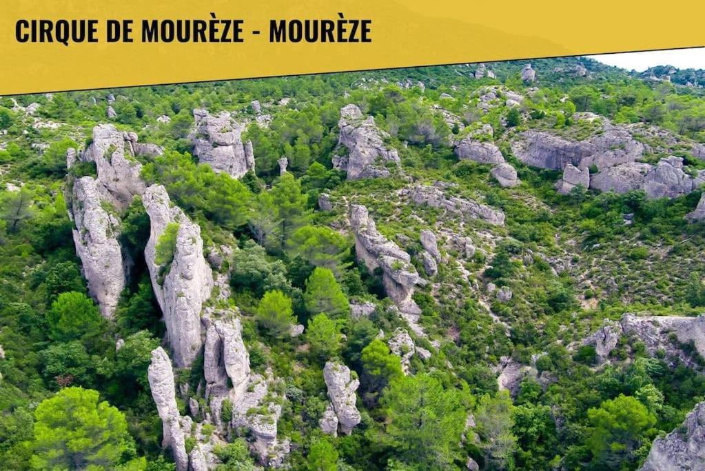 Le Moliere - Enigme Et Sauna Apartment Pezenas Ngoại thất bức ảnh
